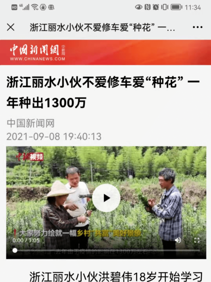 丽水市市劳动和社会保障局最新招聘信息,丽水市劳动和社会保障局最新招聘信息概览