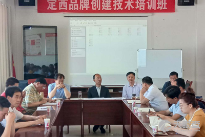 陇西县卫生健康局最新项目,陇西县卫生健康局最新项目，推动健康县城建设迈向新高度