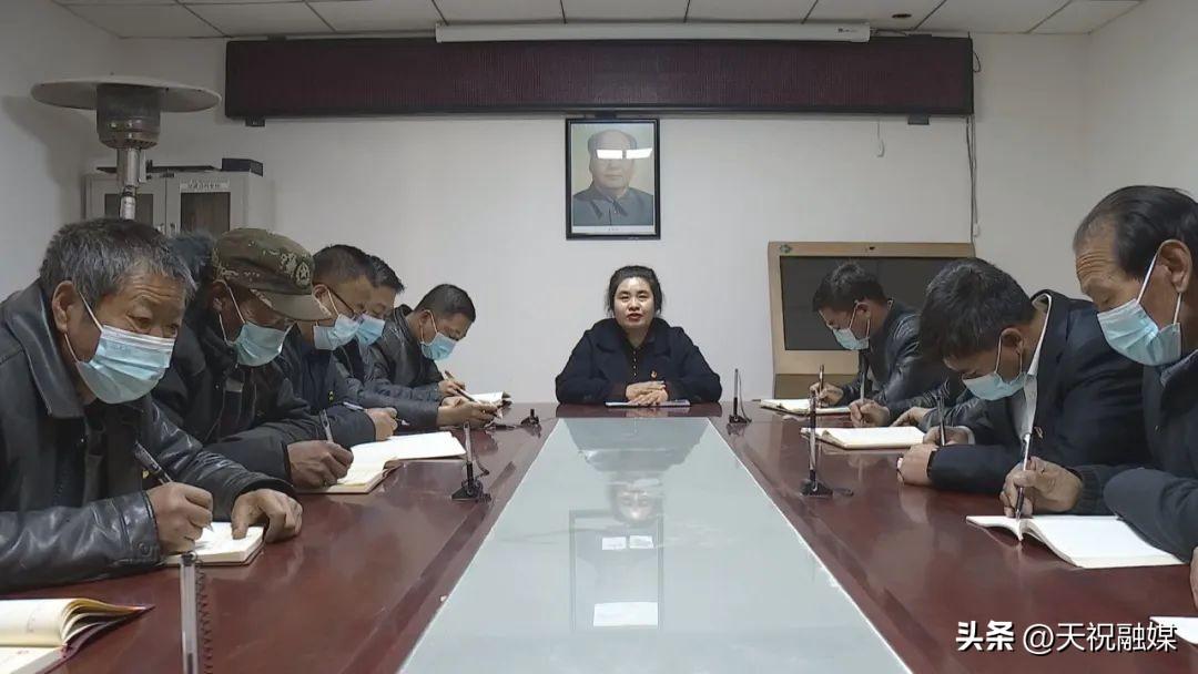 茶树沟村委会最新新闻,茶树沟村委会最新新闻纪实，乡村振兴与社区发展的崭新篇章