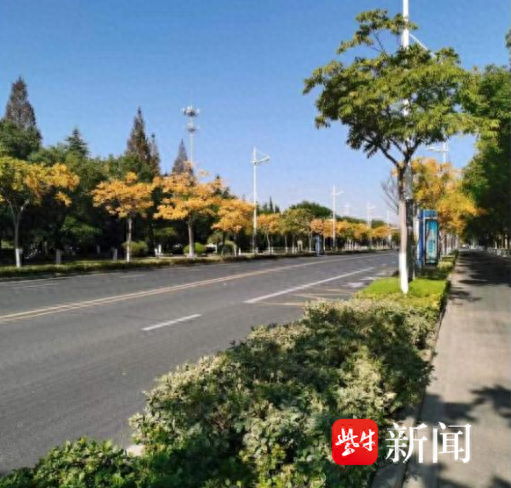 东干道街道最新项目,东干道街道最新项目，重塑城市面貌，推动社区发展