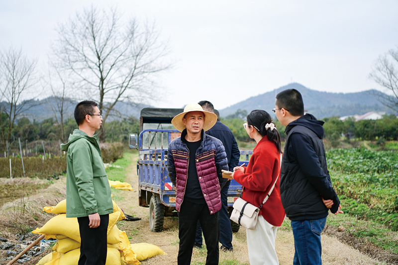 嘎龙村最新领导,嘎龙村的新领导，引领乡村振兴的新篇章