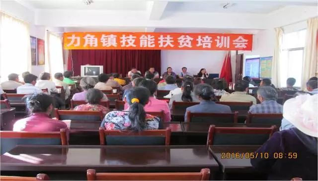 陈家湾村委会最新领导,陈家湾村委会最新领导团队概览