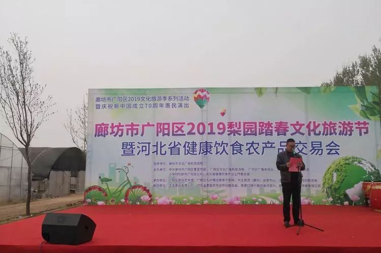 四方台区文化广电体育和旅游局最新项目,四方台区文化广电体育和旅游局最新项目，推动地方文化繁荣与旅游发展