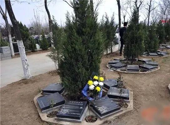 温岭市殡葬事业单位等最新新闻,温岭市殡葬事业单位最新动态，深化服务改革，推动绿色殡葬发展