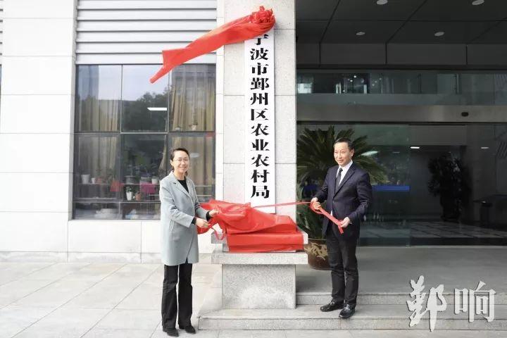 鄞州区财政局最新招聘信息,鄞州区财政局最新招聘信息概览