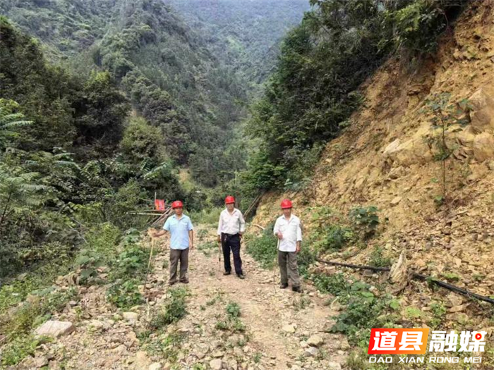道县月岩林场最新新闻,道县月岩林场最新新闻报道
