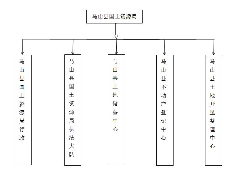 马山县人民政府办公室最新发展规划,马山县人民政府办公室最新发展规划