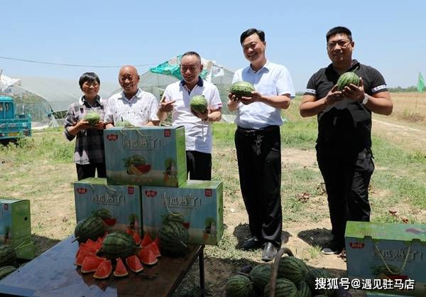驻马店市市信访局最新项目,驻马店市市信访局最新项目，推动社会治理创新，提升群众满意度