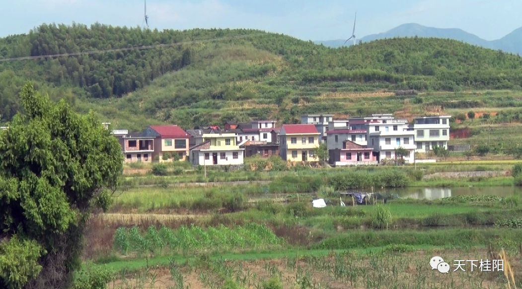 江底乡最新项目,江底乡最新项目，引领乡村发展的崭新篇章