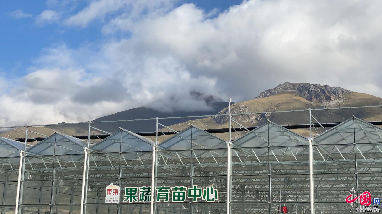 石渠县公路运输管理事业单位最新项目,石渠县公路运输管理事业单位最新项目研究