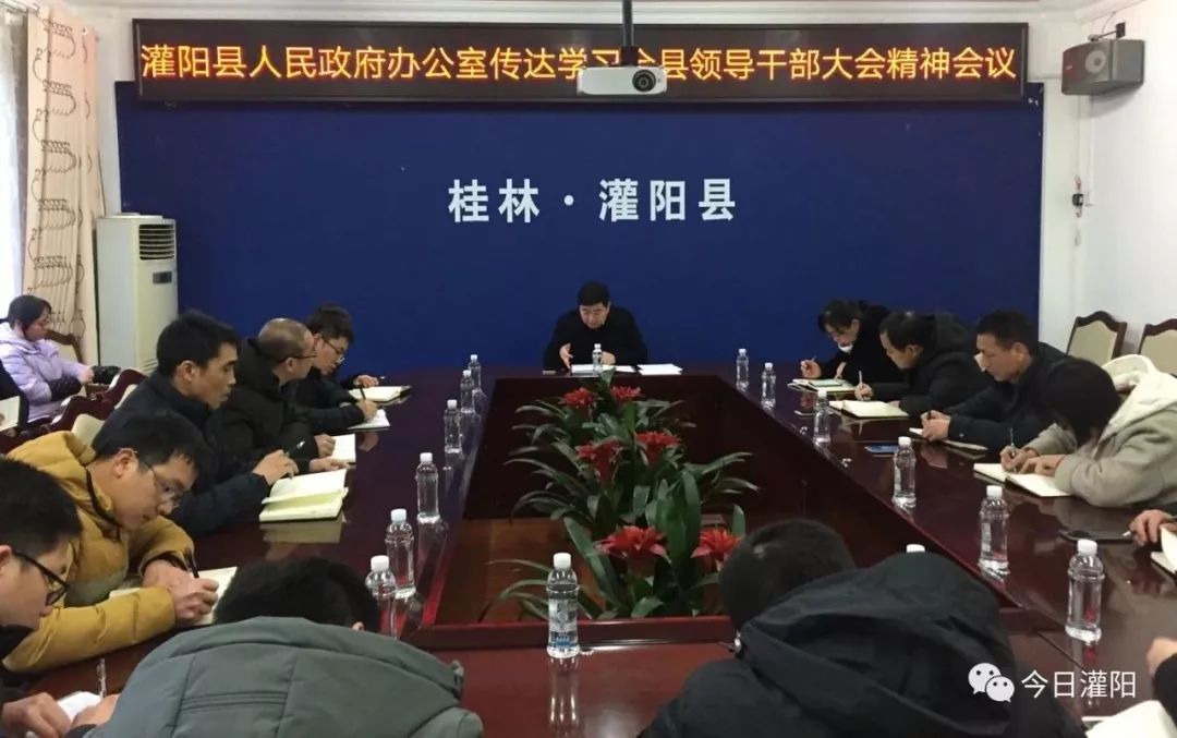 灌阳县人民政府办公室最新项目,灌阳县人民政府办公室最新项目概览
