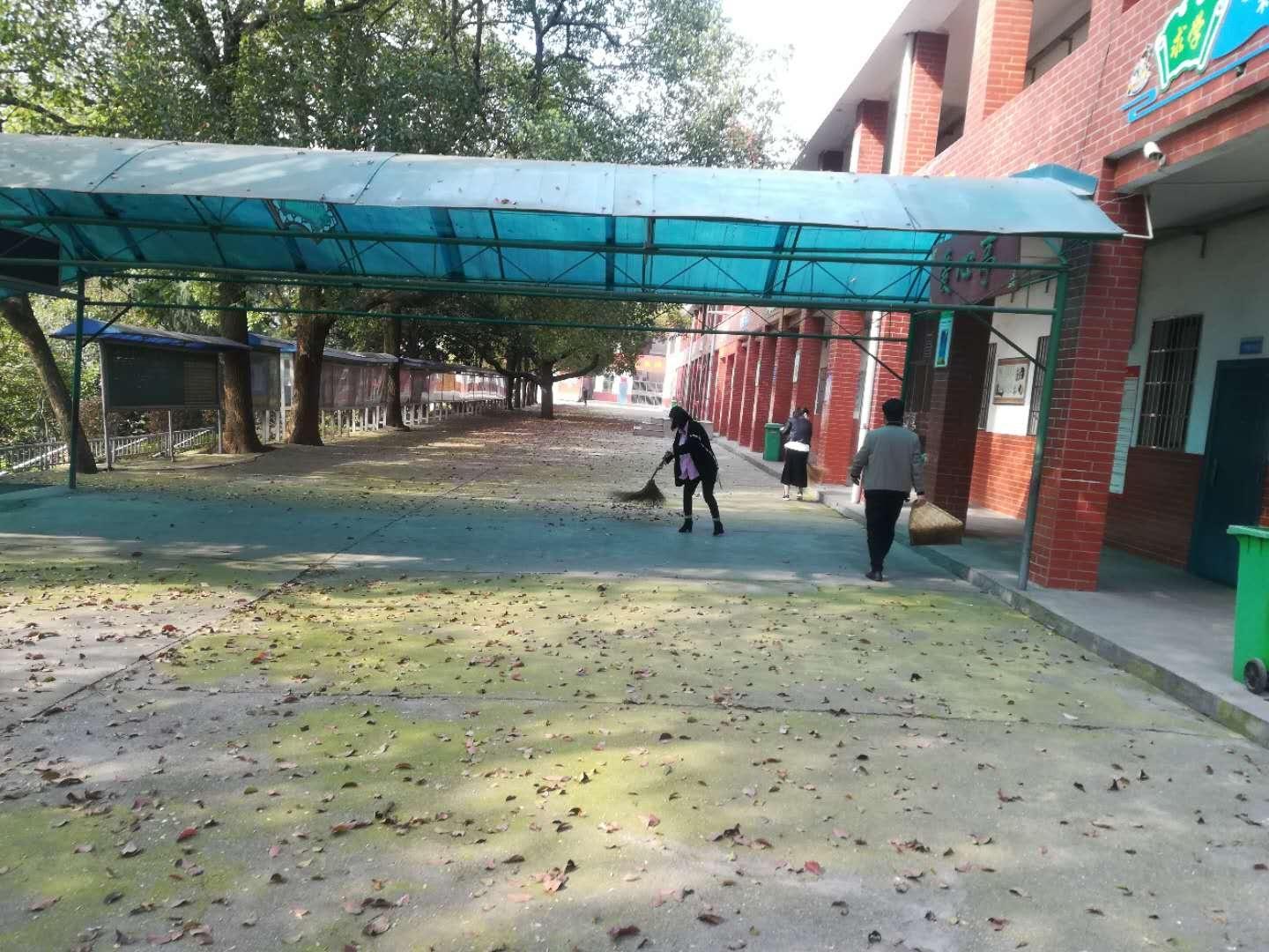 樟树市小学最新招聘信息,樟树市小学最新招聘信息及其相关解读