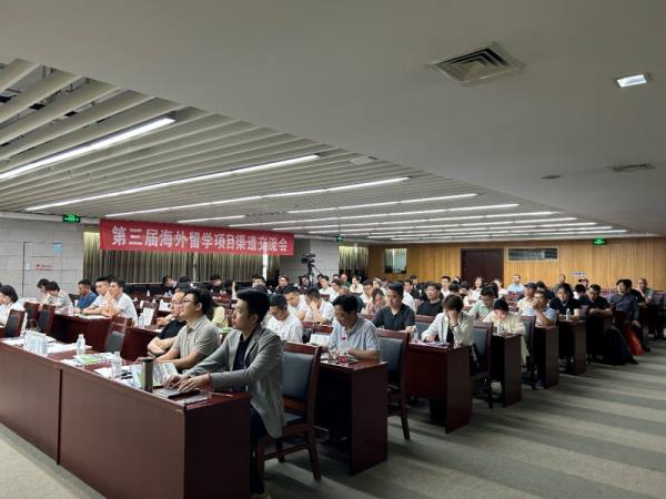 龙安区财政局最新项目,龙安区财政局最新项目概览