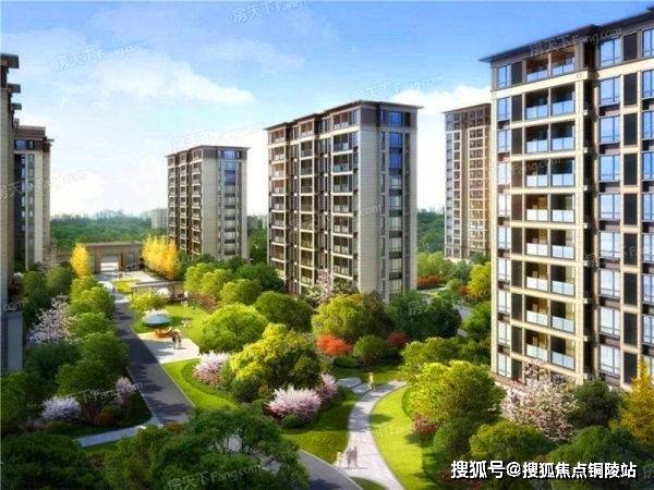 斜桥镇最新人事任命,斜桥镇最新人事任命动态及其影响
