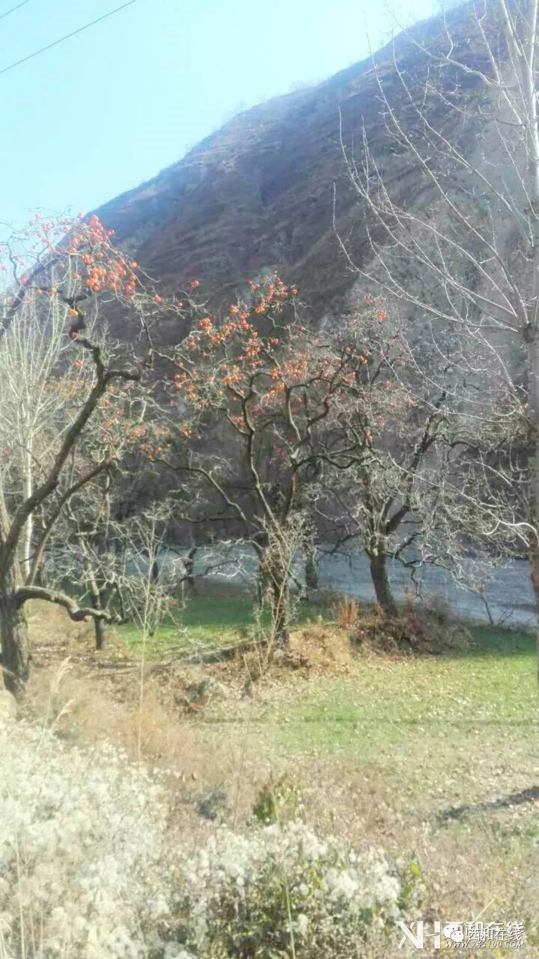 栗川乡最新天气预报,栗川乡最新天气预报