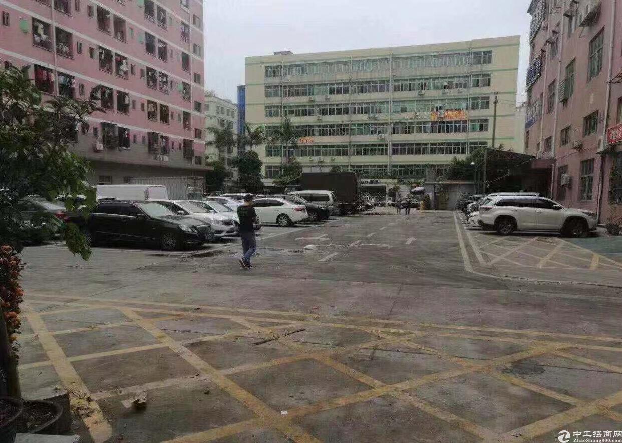龙华镇最新招聘信息,龙华镇最新招聘信息概览