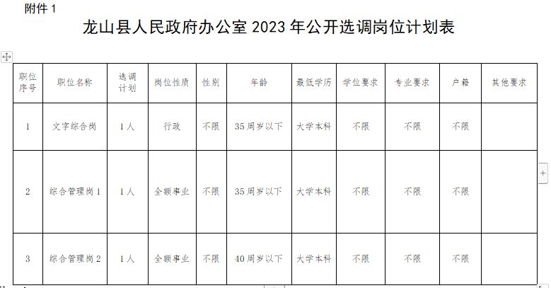 龙山区财政局最新招聘信息,龙山区财政局最新招聘信息详解