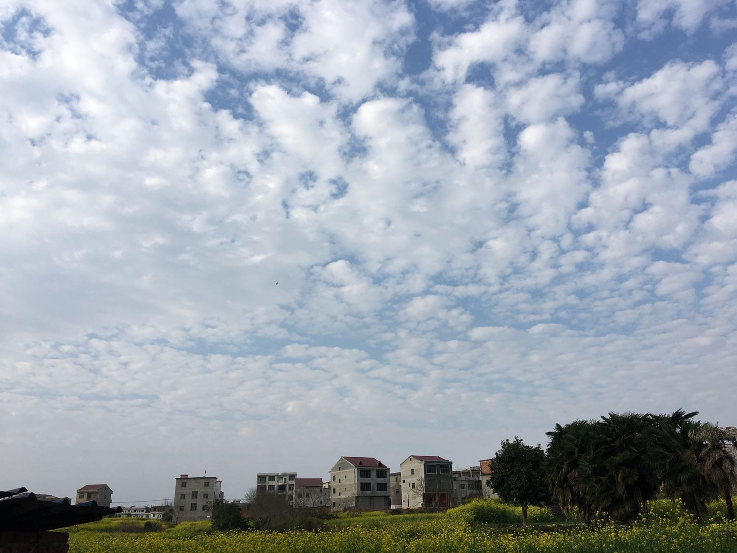 金贵镇最新天气预报,金贵镇最新天气预报