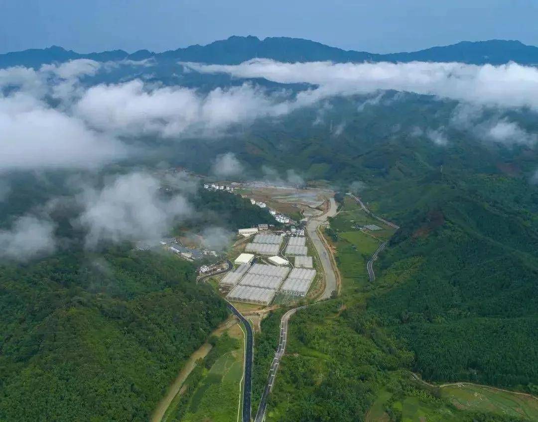 交岔乡最新项目,交岔乡最新项目，引领乡村发展的崭新篇章