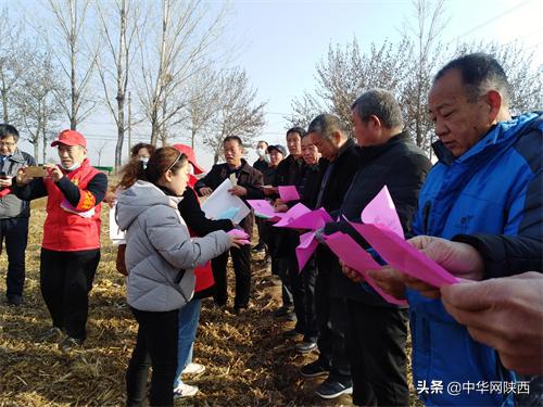 合阳县农业农村局最新项目,合阳县农业农村局最新项目，推动农业现代化，助力乡村振兴