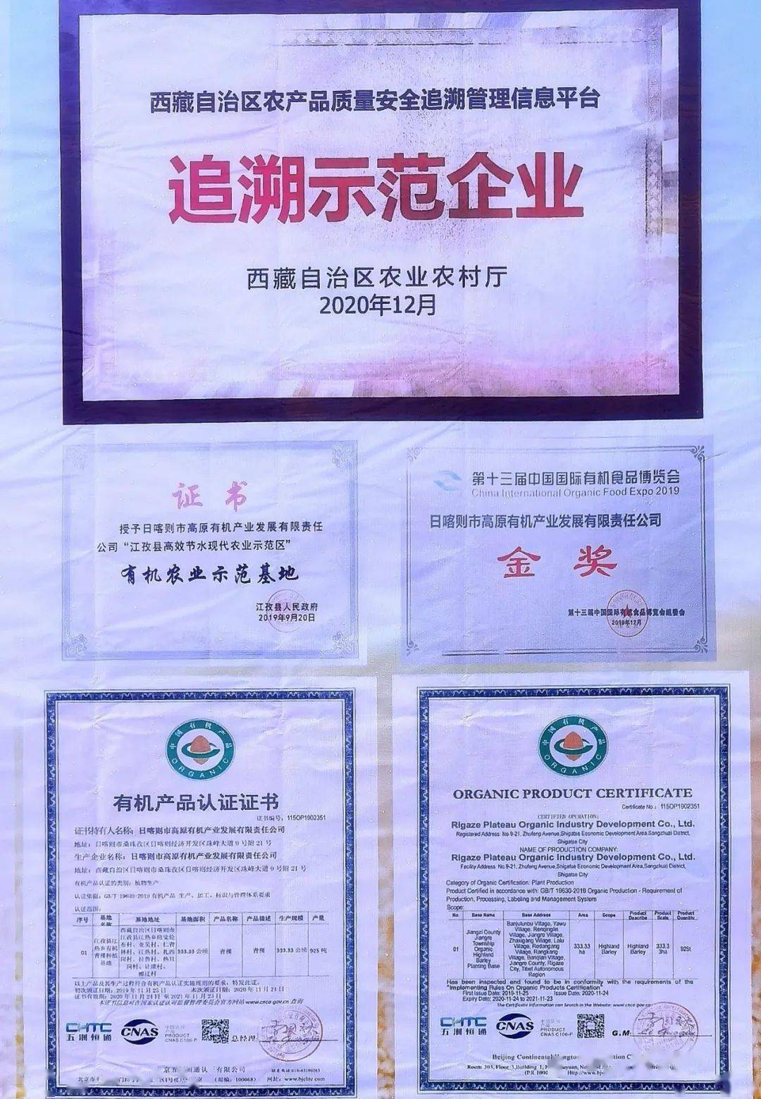 九功村委会最新人事任命,九功村委会最新人事任命