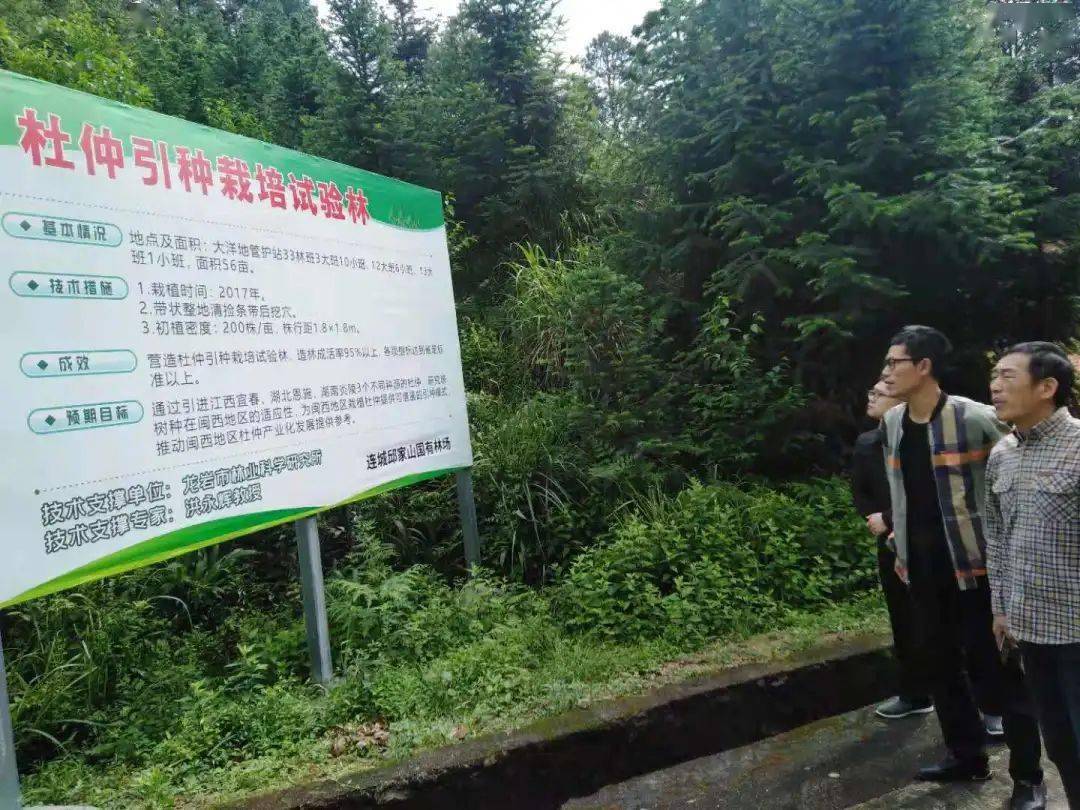 岭下溪国有防护林场最新项目,岭下溪国有防护林场最新项目，绿色生态建设的先锋力量