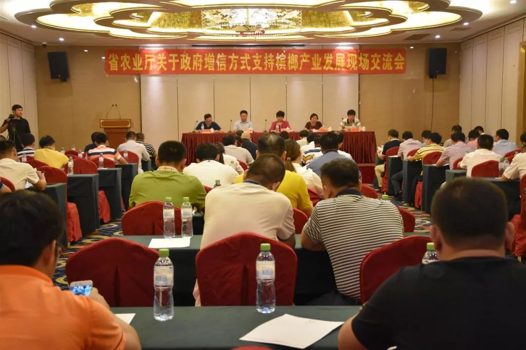 万宁市审计局最新发展规划,万宁市审计局最新发展规划，构建现代化审计体系，推动审计事业新发展
