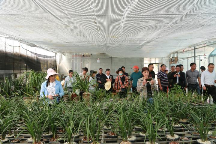 益民村委会最新交通新闻,益民村委会最新交通新闻