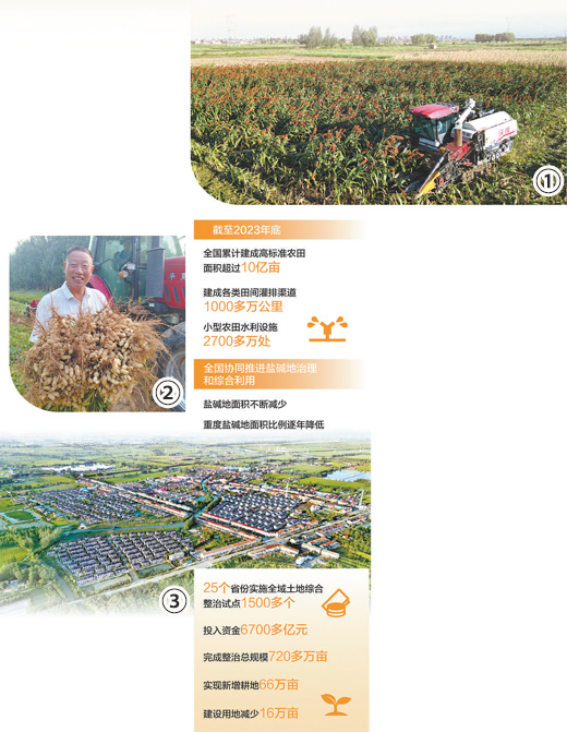 丰集乡最新招聘信息,丰集乡最新招聘信息，打造乡村振兴的强力引擎