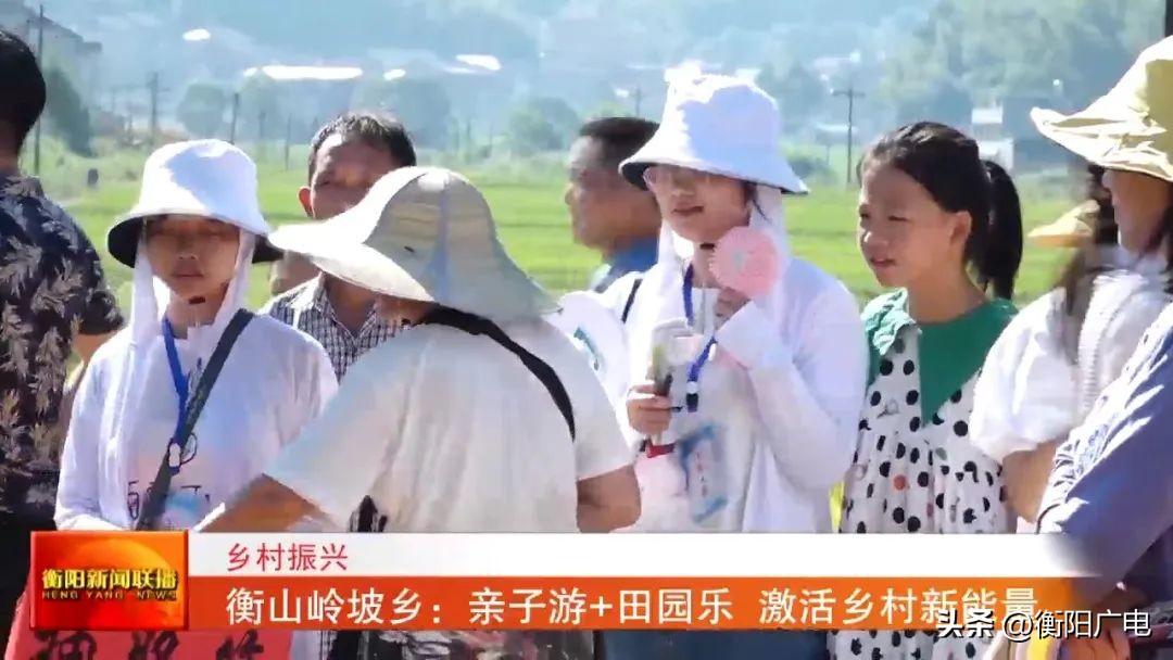 岭坡乡最新新闻,岭坡乡最新新闻，乡村振兴与社区发展的新篇章