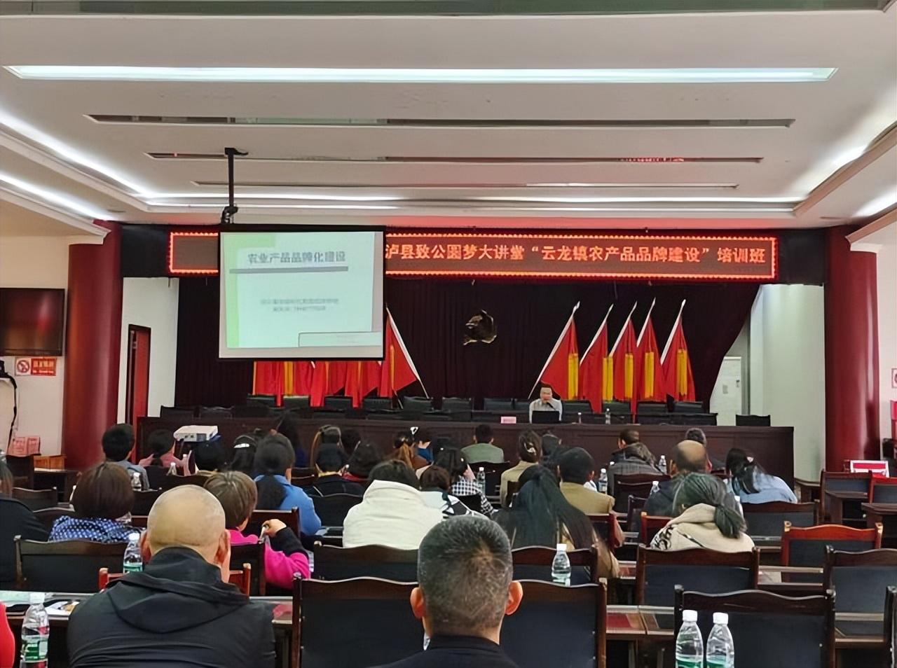 云龙镇最新人事任命,云龙镇最新人事任命，塑造未来，激发新动能