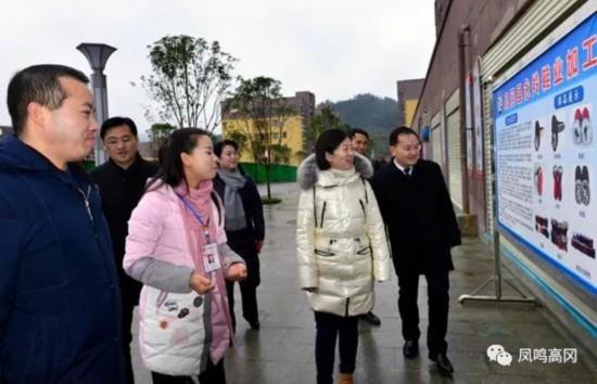凤冈县人民政府办公室最新发展规划,凤冈县人民政府办公室最新发展规划