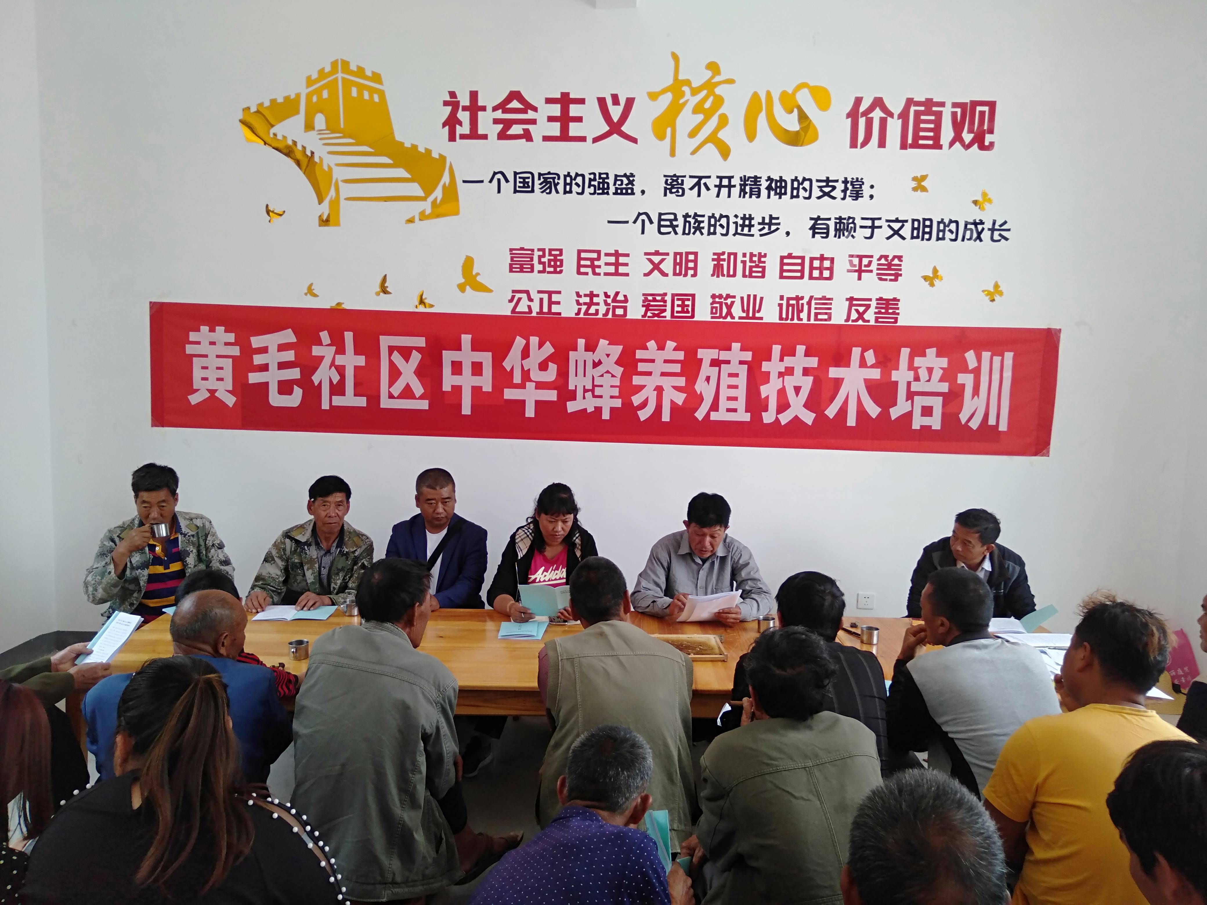 金鸡乡最新招聘信息,金鸡乡最新招聘信息概览