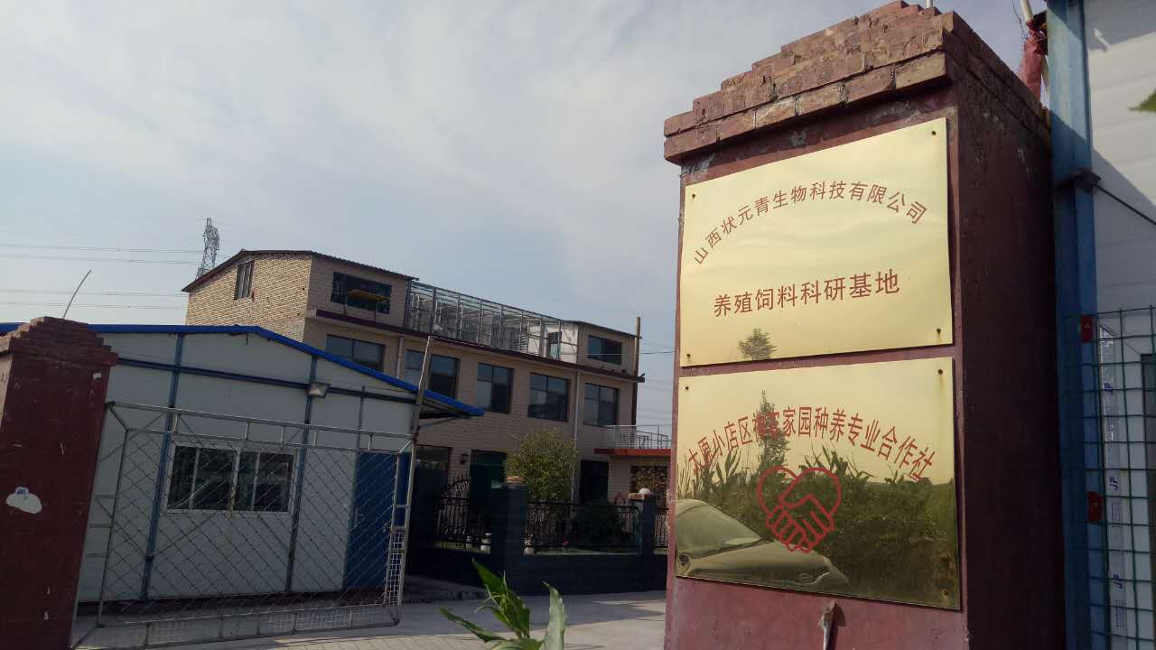 葛家岔村民委员会最新项目,葛家岔村民委员会最新项目概述