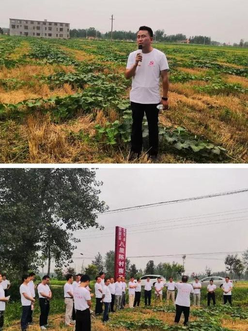 张得乡最新天气预报,张得乡最新天气预报