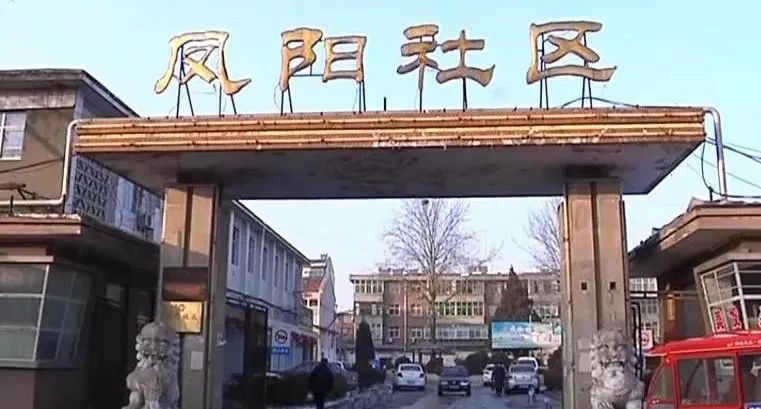 西河南路第二社区居委会最新领导,西河南路第二社区居委会最新领导团队概览
