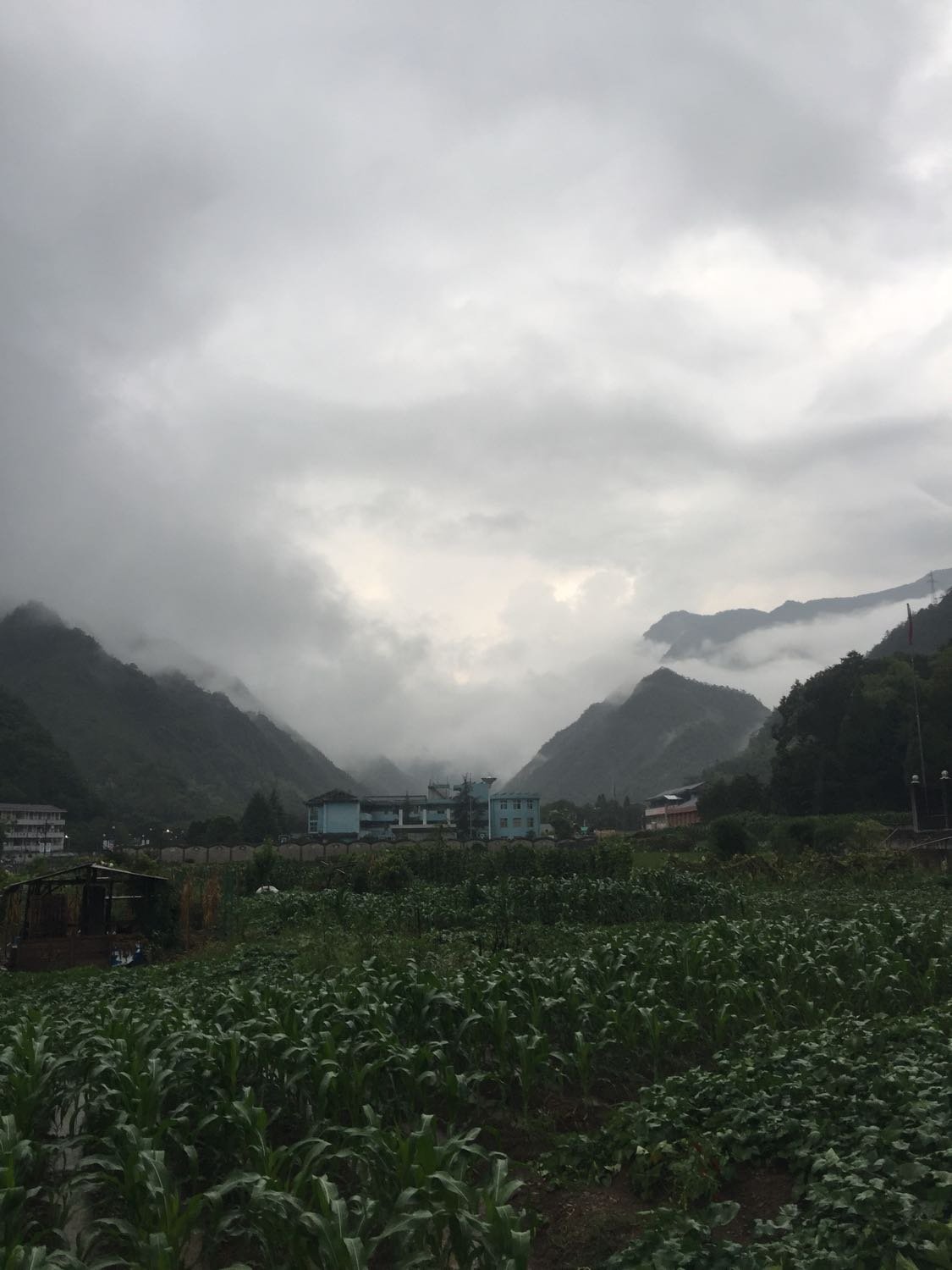 化念镇最新天气预报,化念镇最新天气预报及气象分析