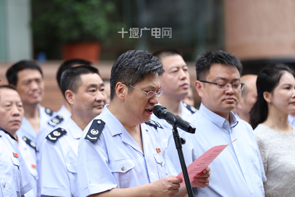 十堰市市国家税务局最新项目,十堰市市国家税务局最新项目概览