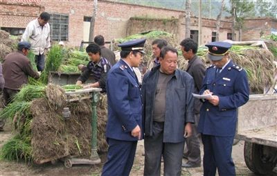 迎兰朝鲜族乡最新领导,迎兰朝鲜族乡最新领导及其领导下的新篇章