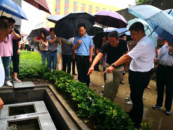 南马街道最新新闻,南马街道最新新闻概述