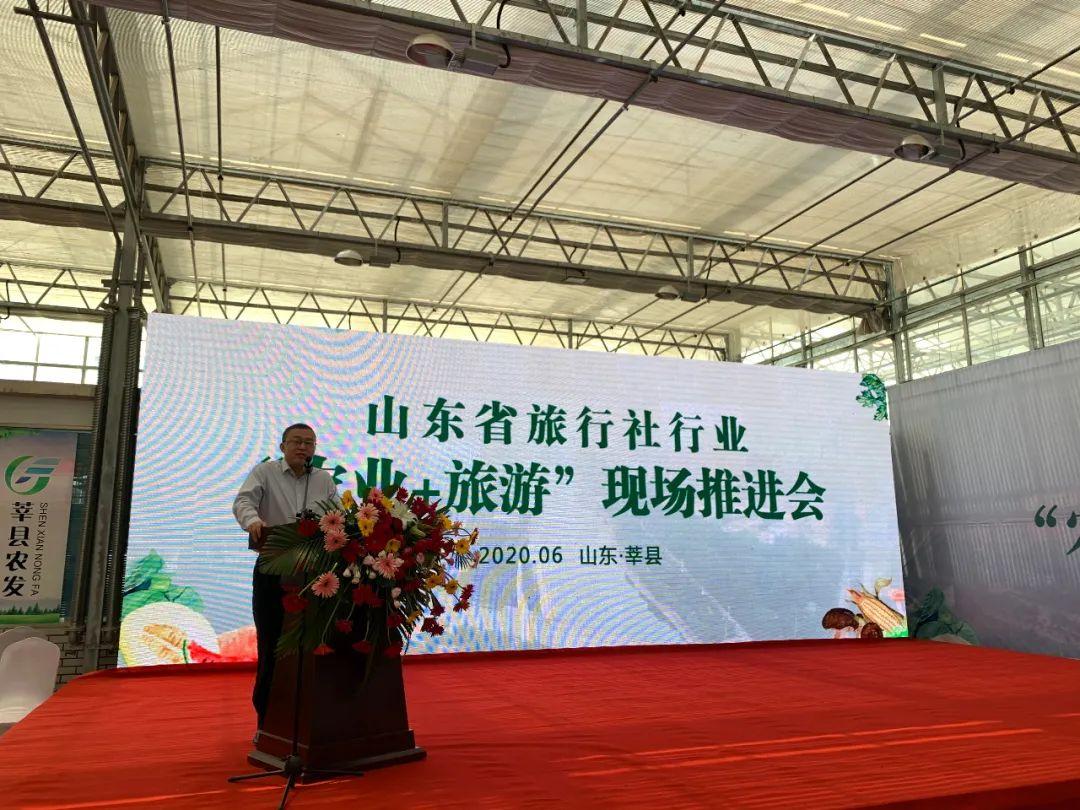 莘县人民政府办公室最新项目,莘县人民政府办公室最新项目，推动县域经济高质量发展