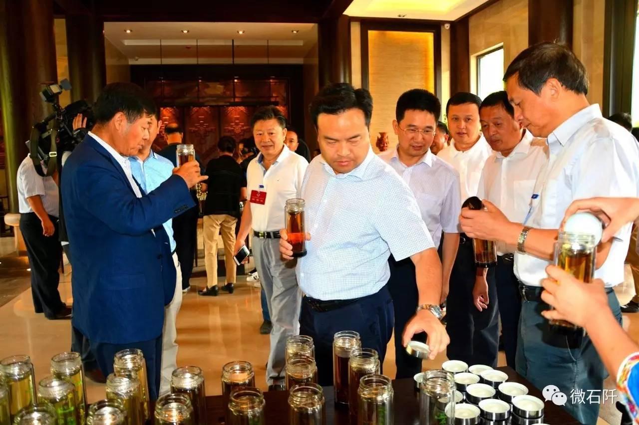 石阡县人民政府办公室最新发展规划,石阡县人民政府办公室最新发展规划