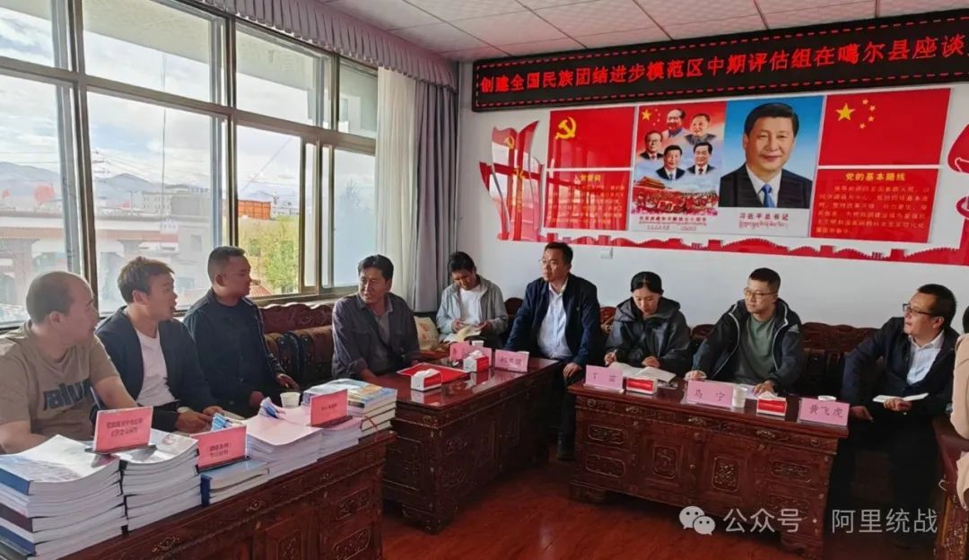 阿里地区共青团市委最新项目,阿里地区共青团市委最新项目，探索与启示