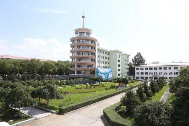 七台河市市城市社会经济调查队最新项目,七台河市城市社会经济调查队最新项目探究