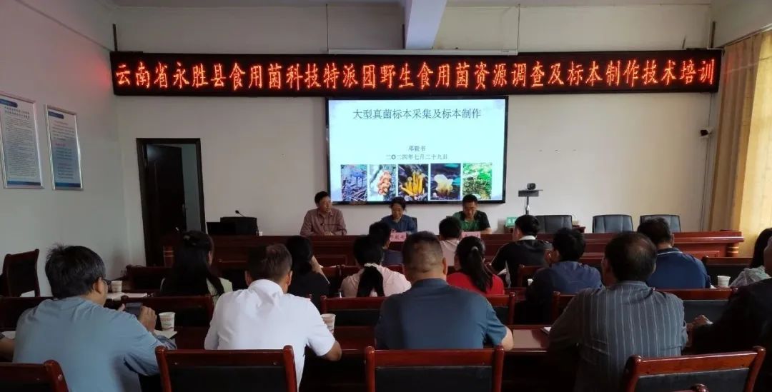 萝北县卫生健康局最新领导,萝北县卫生健康局最新领导团队及其工作展望