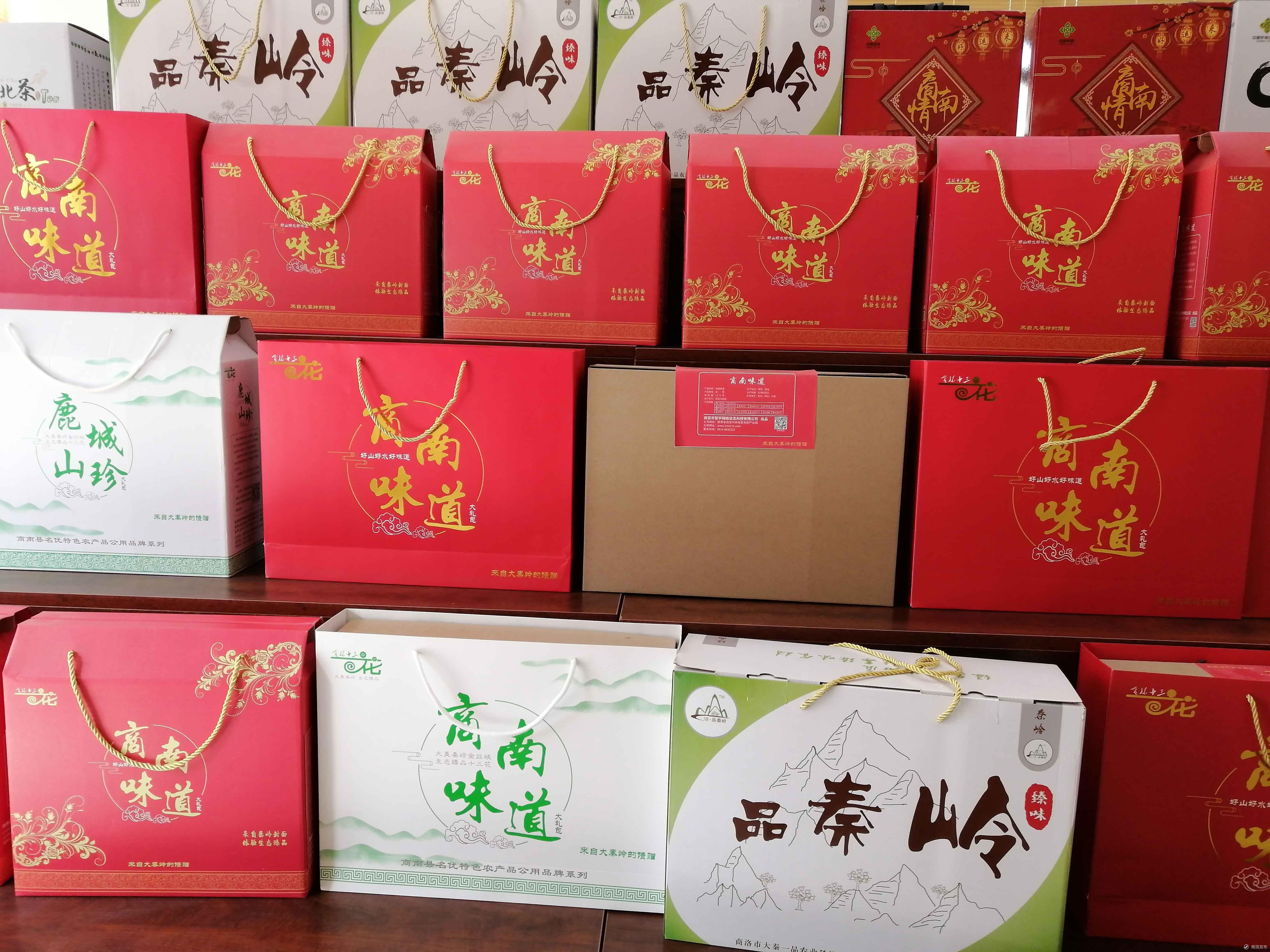 临桂县财政局最新发展规划,临桂县财政局最新发展规划，塑造县域经济新篇章