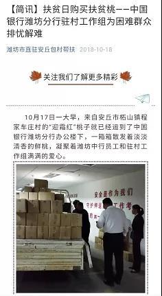 薛胡村委会最新招聘信息,薛胡村委会最新招聘信息概览