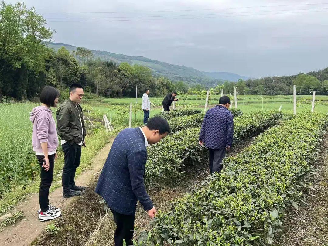 邛崃市医疗保障局?最新领导,邛崃市医疗保障局最新领导团队及其重要职责