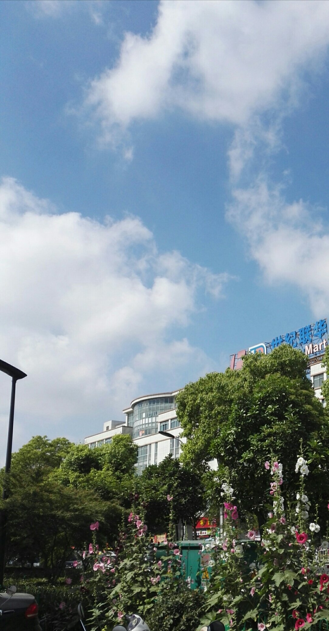 文亭街道最新天气预报,文亭街道最新天气预报
