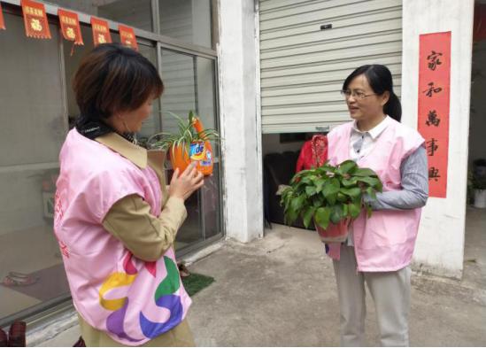 石湫镇最新新闻,石��.湫镇最新新闻报道